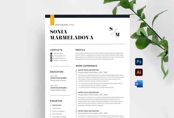 Download Minimalist Resume Template Word - Resume template Collection